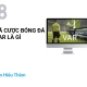 CÁ CƯỢC BÓNG ĐÁ - VAR Là Gì
